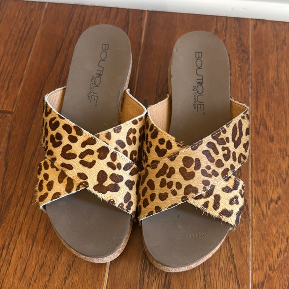 Corky’s Hazel Too - Picture 3 of 3